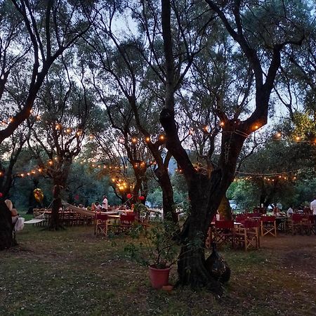 Antico Uliveto Guest House Seravezza Exterior photo