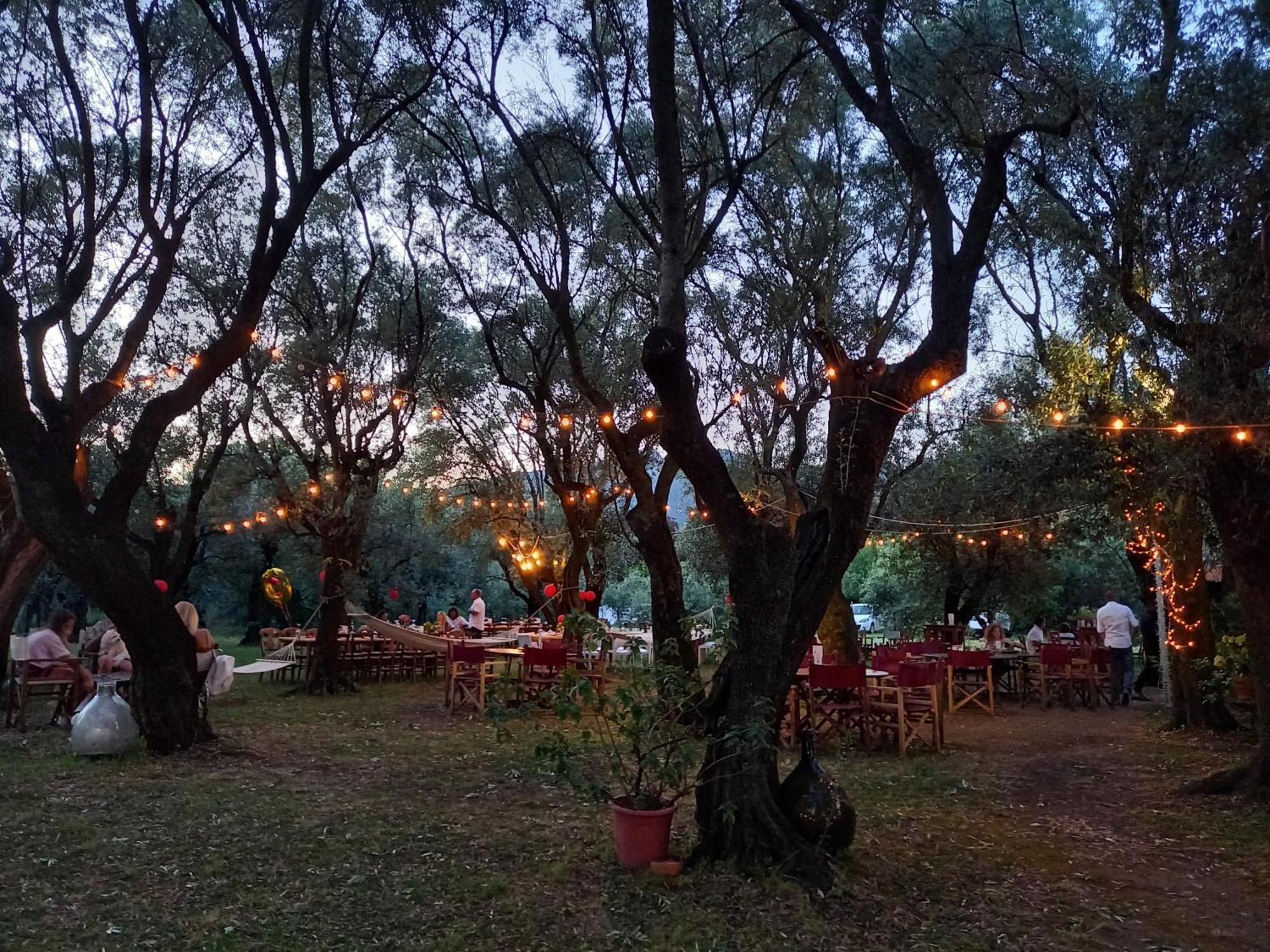 Antico Uliveto Guest House Seravezza Exterior photo