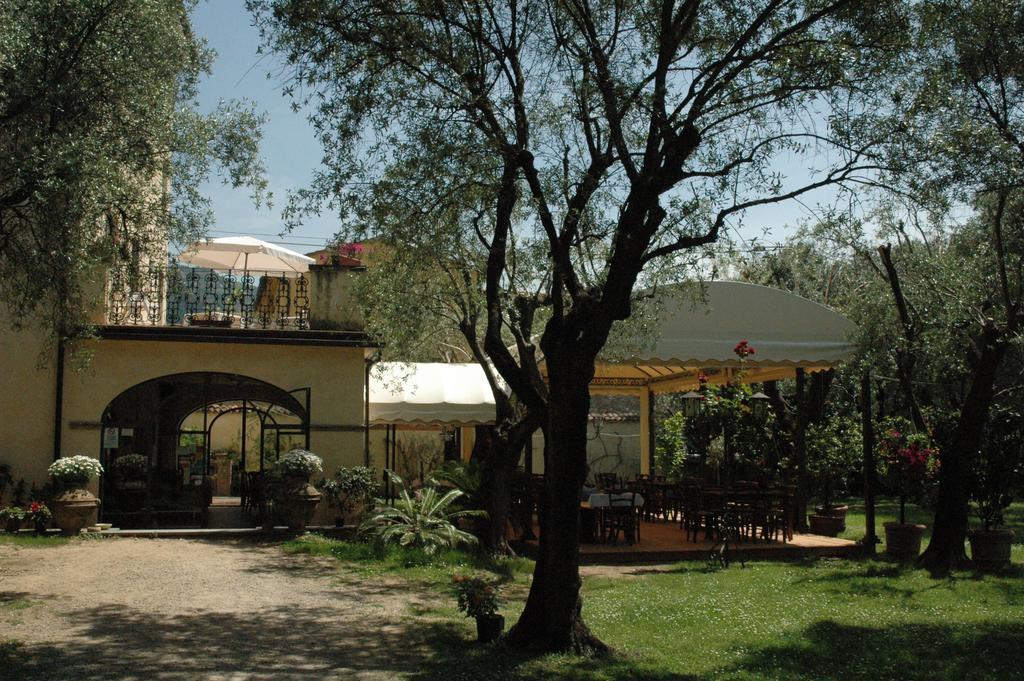 Antico Uliveto Guest House Seravezza Exterior photo
