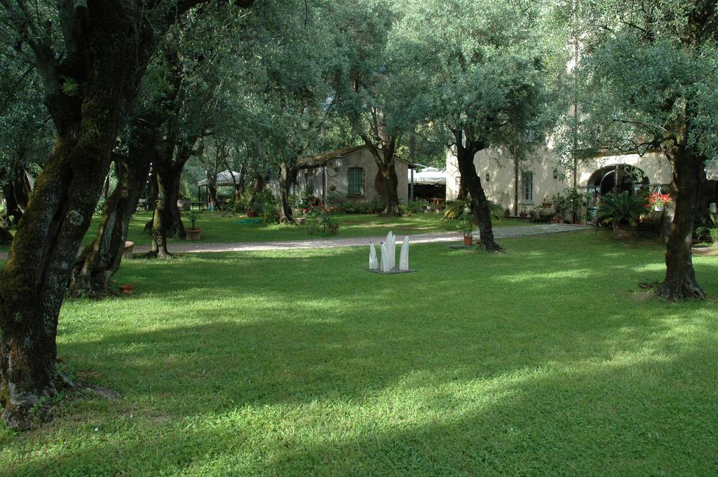 Antico Uliveto Guest House Seravezza Exterior photo