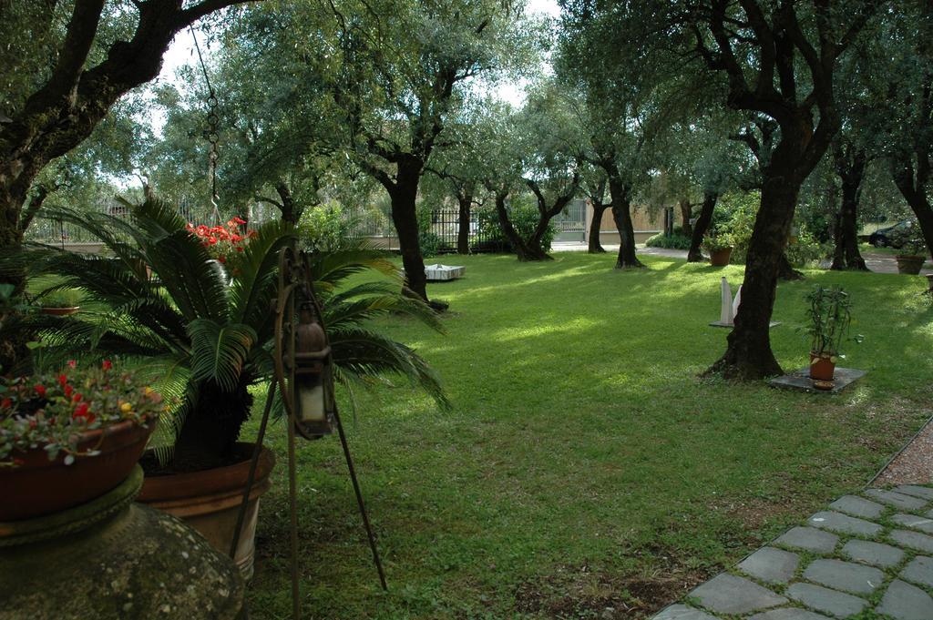 Antico Uliveto Guest House Seravezza Exterior photo