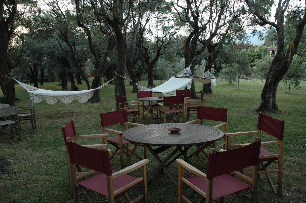 Antico Uliveto Guest House Seravezza Exterior photo