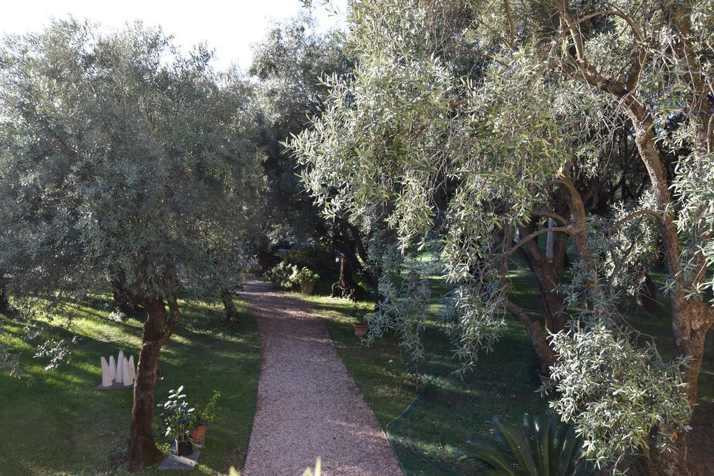 Antico Uliveto Guest House Seravezza Exterior photo