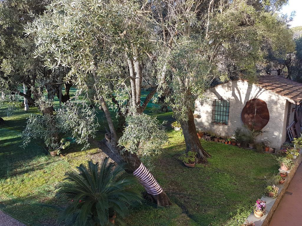 Antico Uliveto Guest House Seravezza Exterior photo