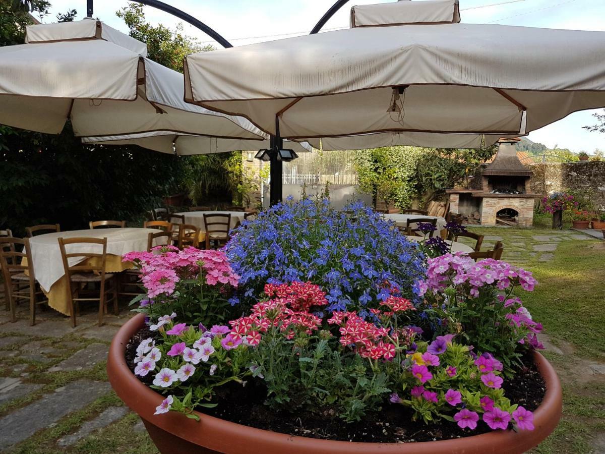 Antico Uliveto Guest House Seravezza Exterior photo