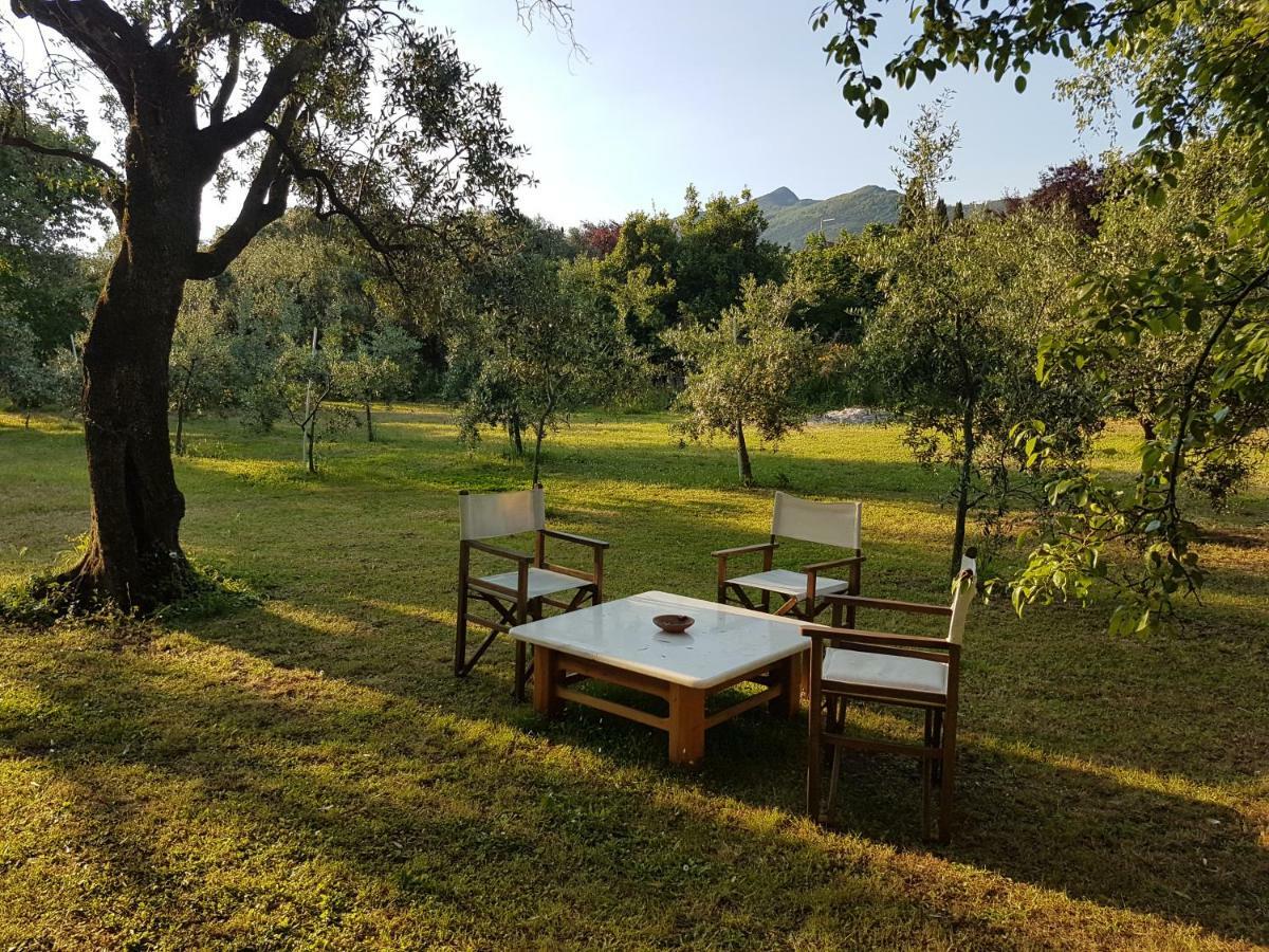 Antico Uliveto Guest House Seravezza Exterior photo